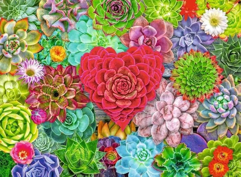 Succulent Love Flower & Garden