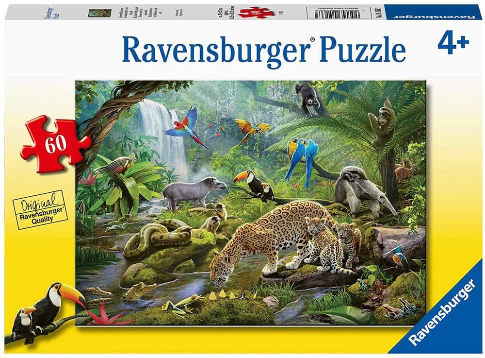 Rainforest Animals