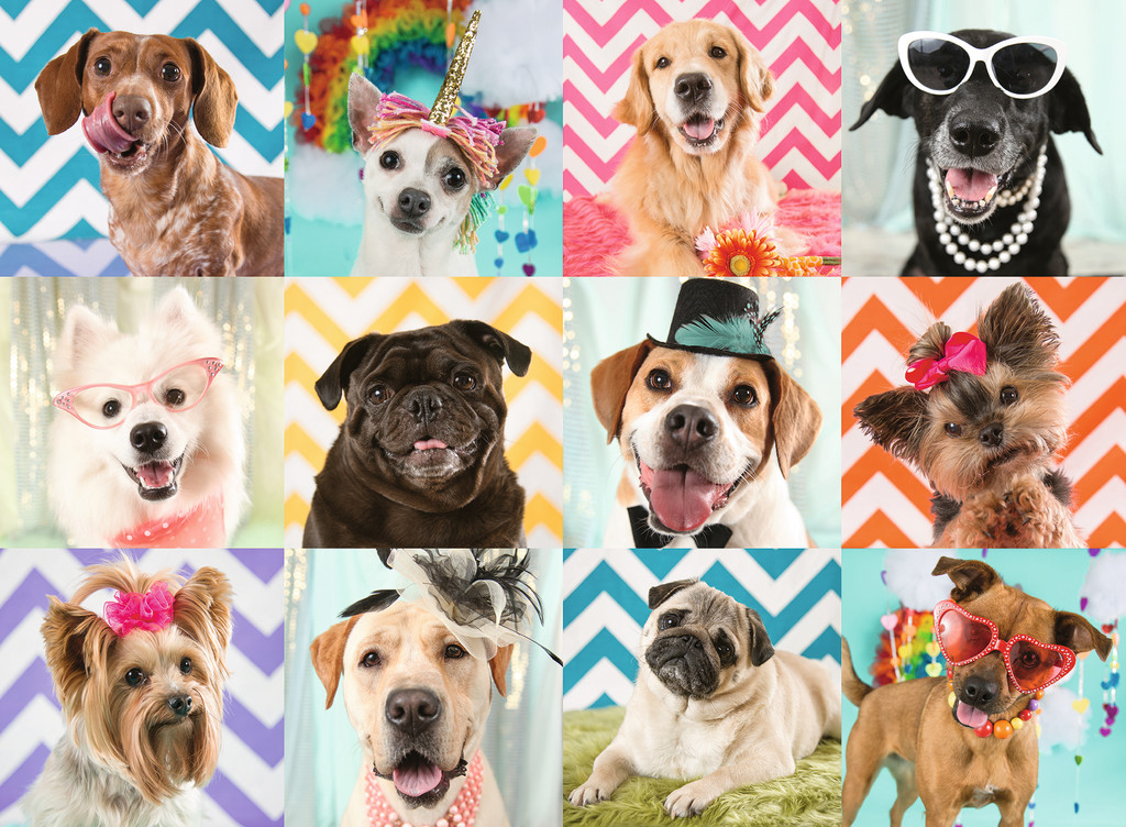 Doggy Disguise Dogs Jigsaw Puzzle