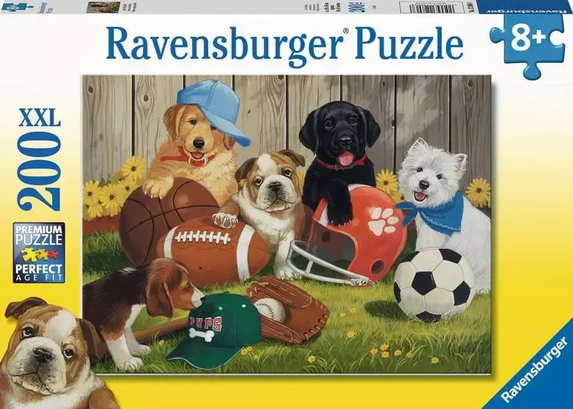 Let's Play Ball! Dogs