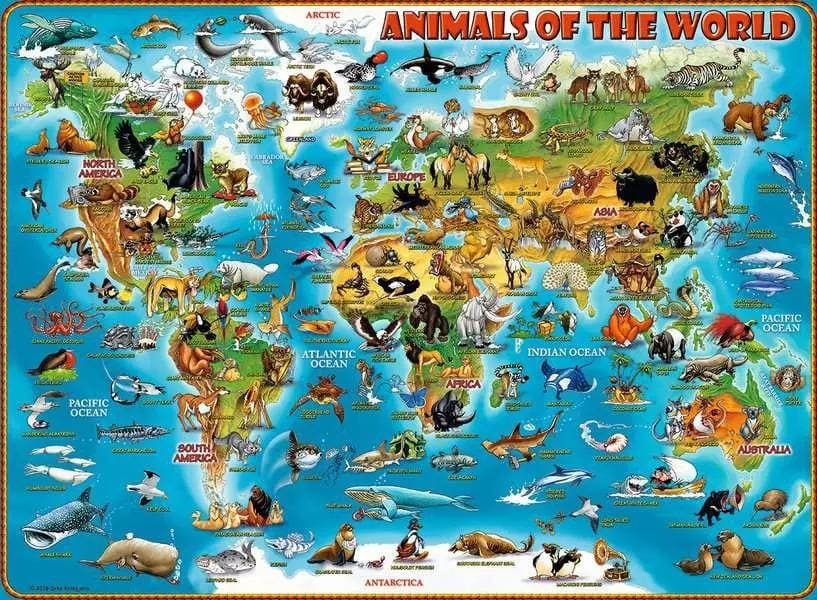 Animals of the World Animals