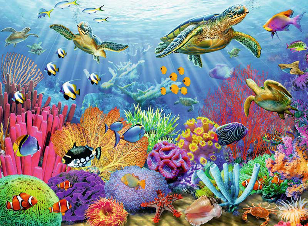 Tropical Waters Sea Life Jigsaw Puzzle
