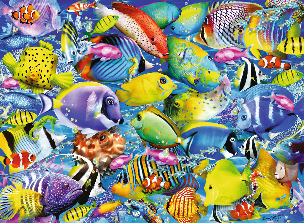 Tropical Traffic Fish Jigsaw Puzzle