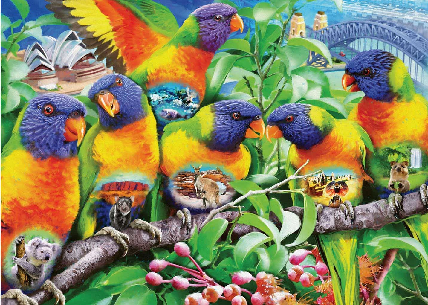 Land of the Lorikeet Birds