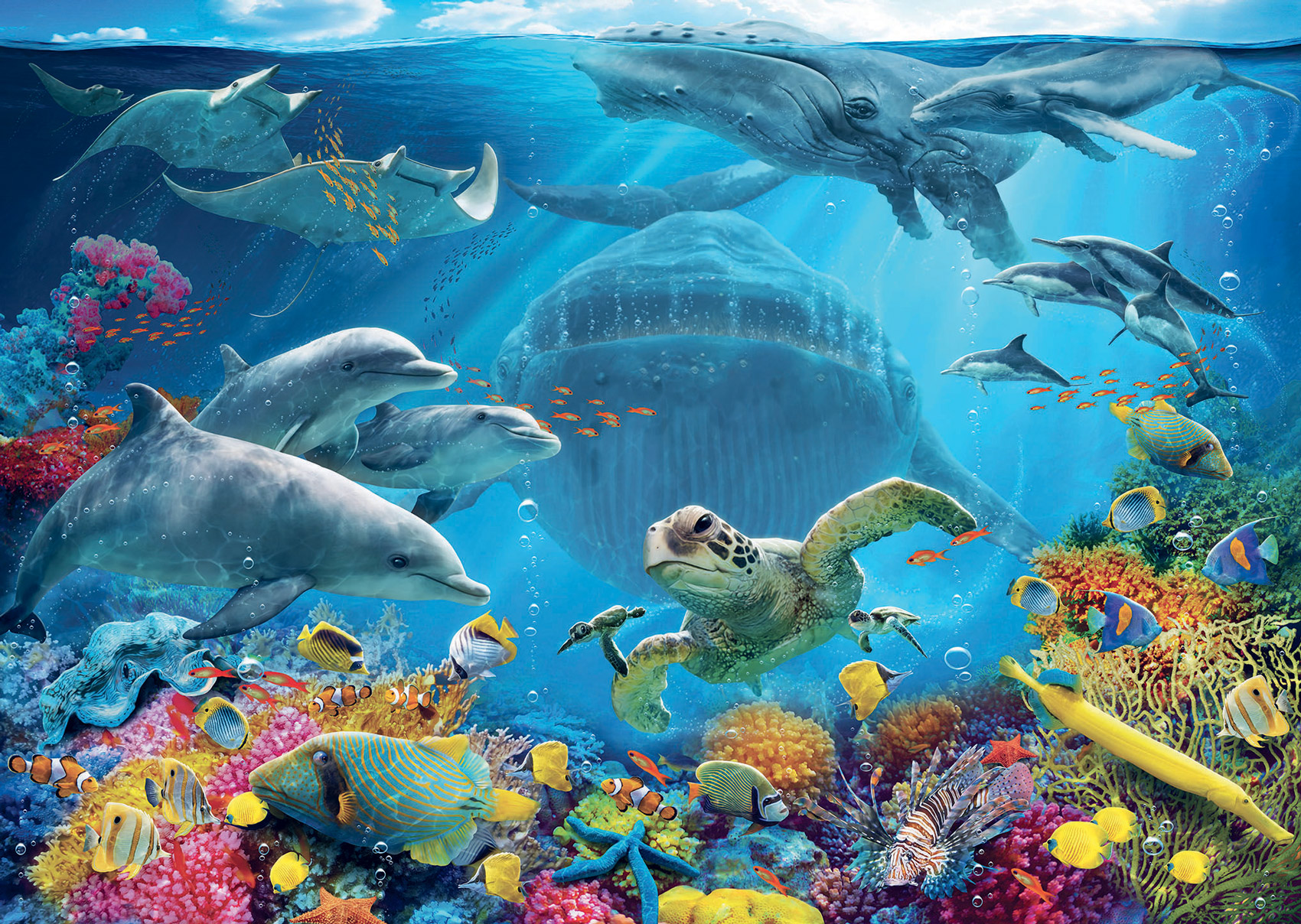 Life Underwater Sea Life Jigsaw Puzzle