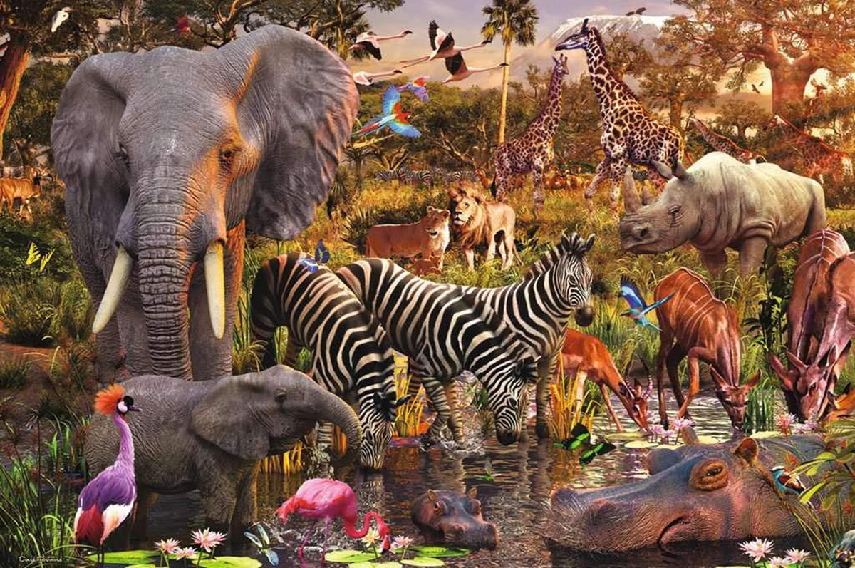 African Animal World Jungle Animals Jigsaw Puzzle