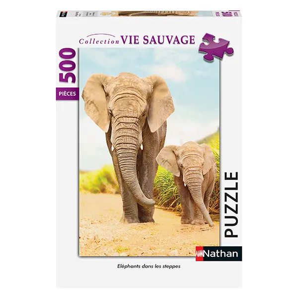 Elephants dans les steppes Elephant