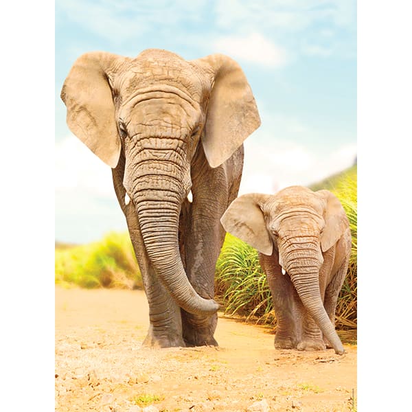 Elephants dans les steppes