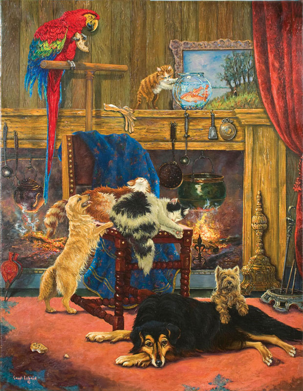 Creature Comforts Dogs