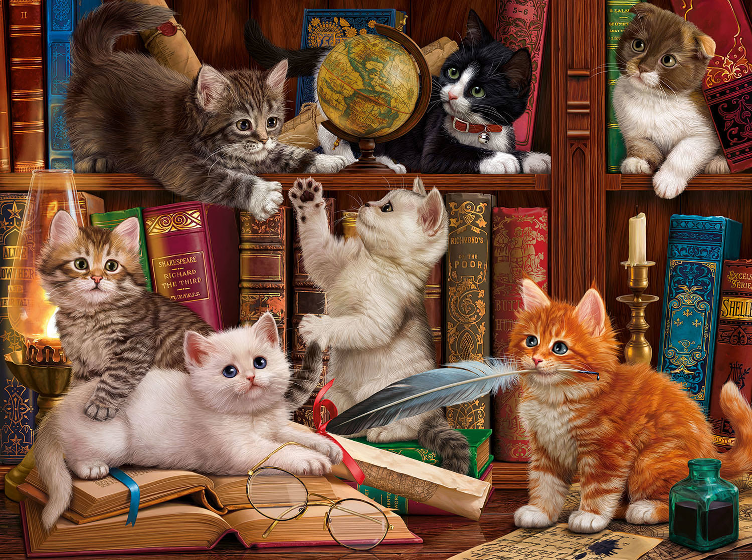 Library Kittens Cats