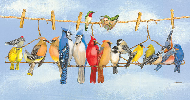 Hangin' Out Birds Jigsaw Puzzle