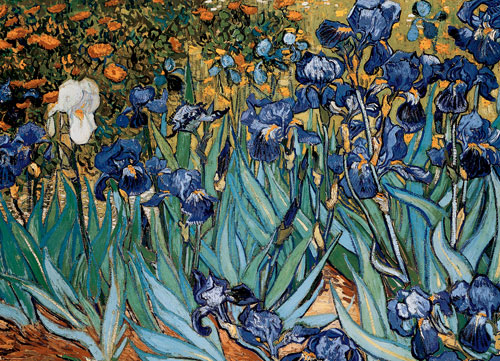 Irises - Van Gogh Fine Art Jigsaw Puzzle