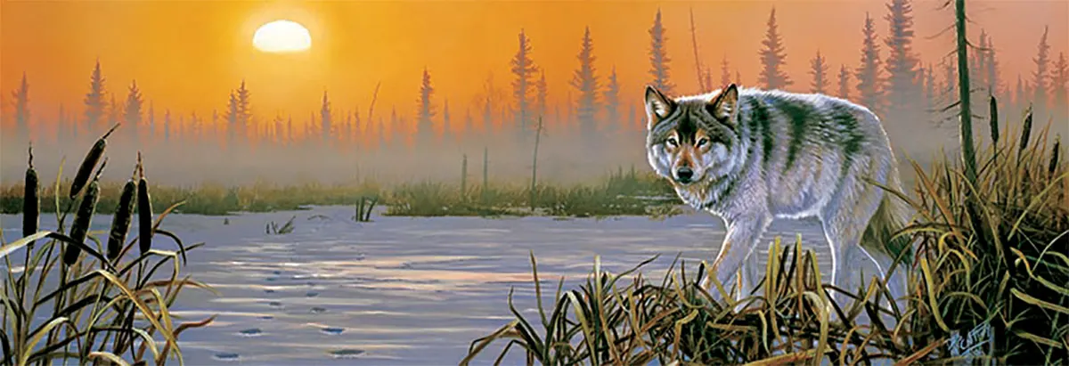 Winter Sunrise Wolf