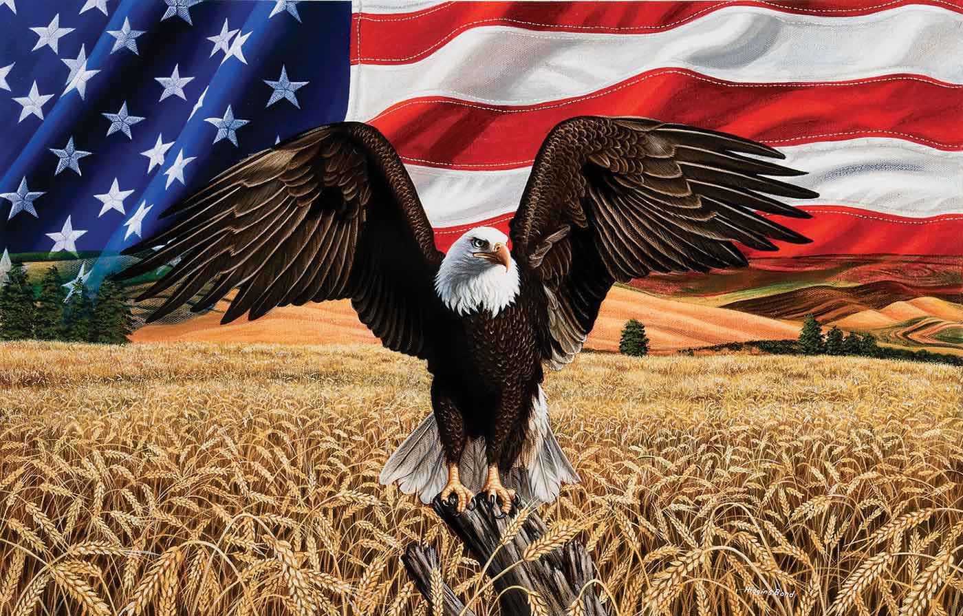 Amber Waves of Grain - Scratch and Dent Patriotic