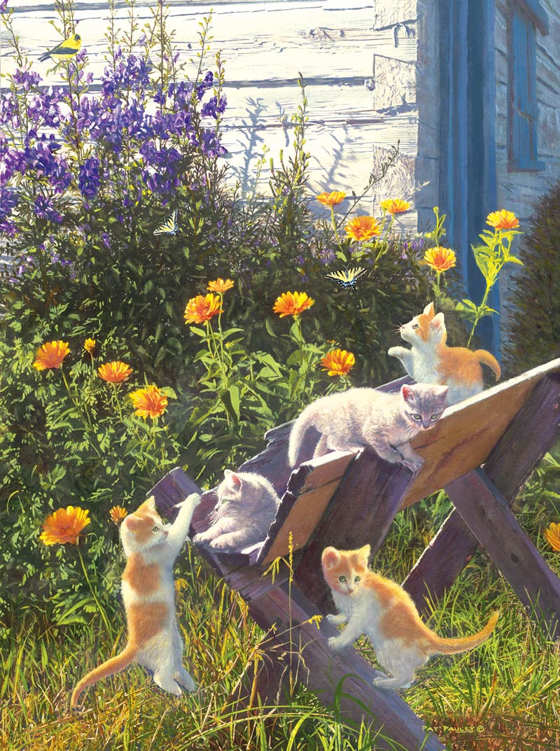 Kittens in the Country Cats