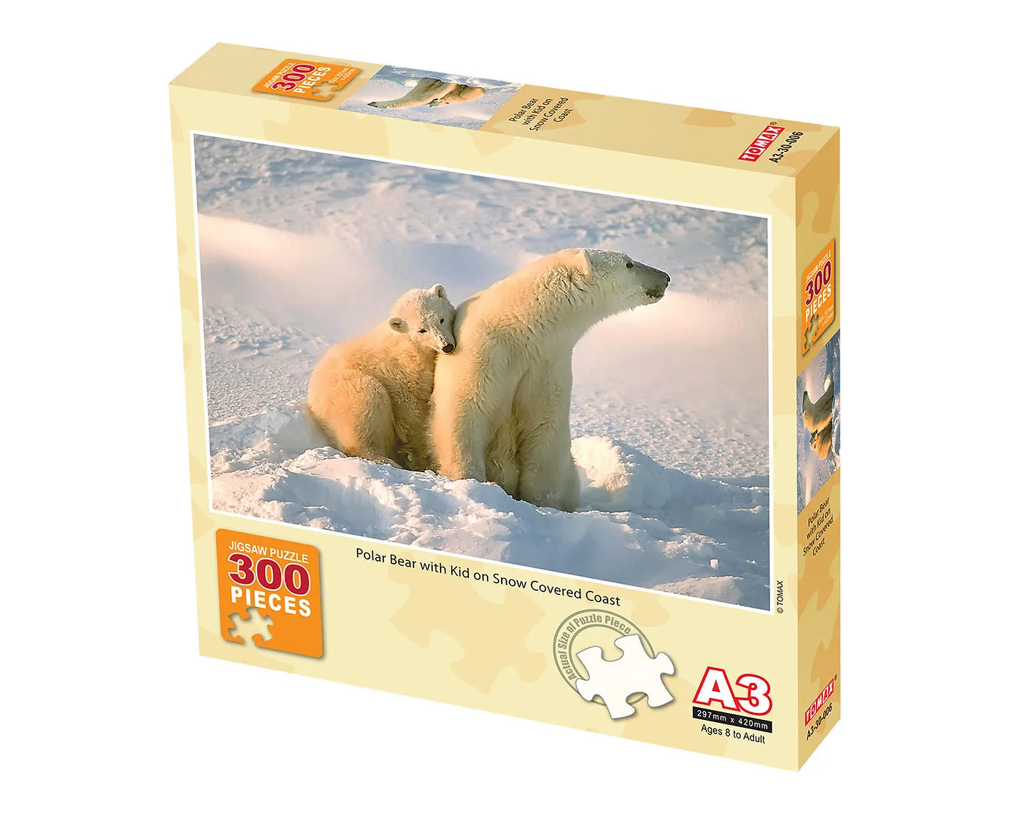 Polar Bear with Cub  Bear