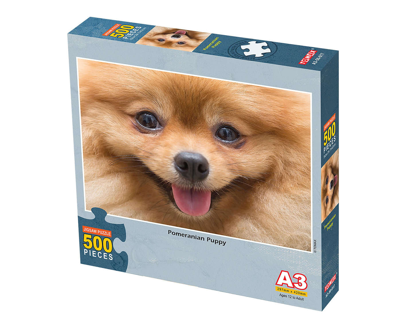 Pomeranian Puppy Dogs