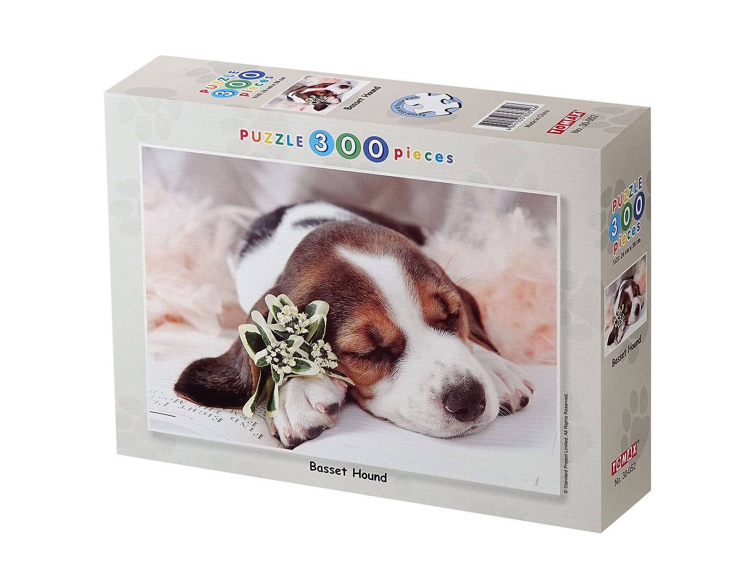 Basset Hound