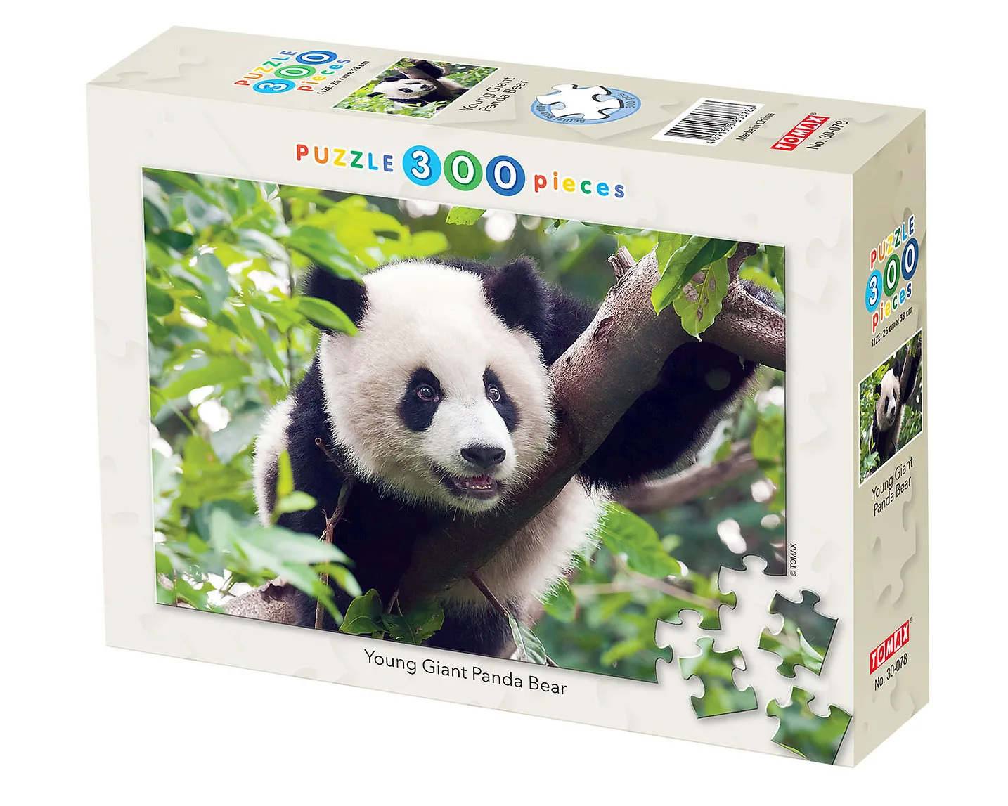 Young Giant Panda Bear