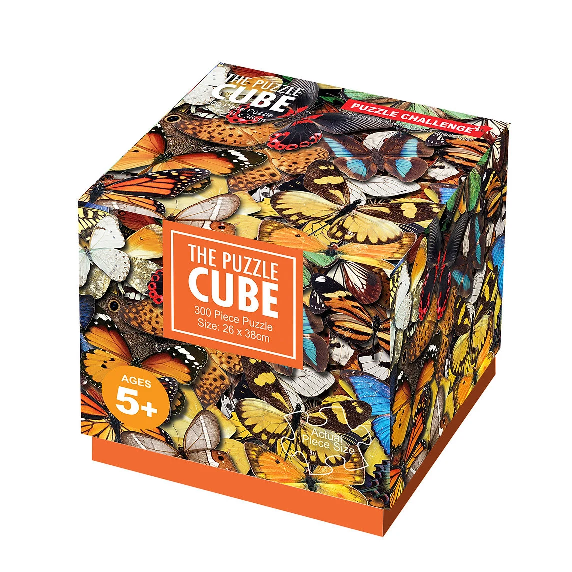 Colorful Butterflies Butterflies and Insects