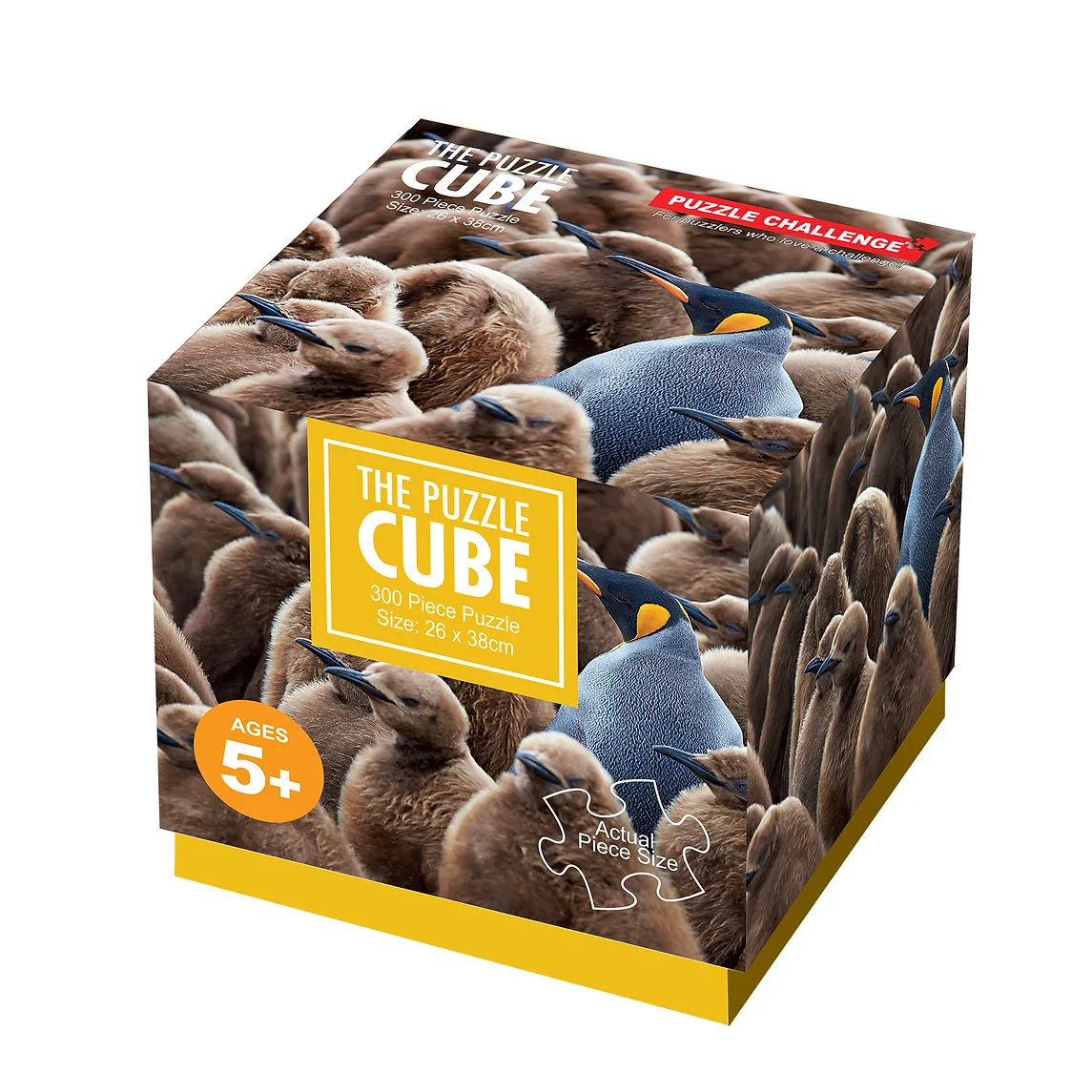 Adult King Penguin & Chicks Birds