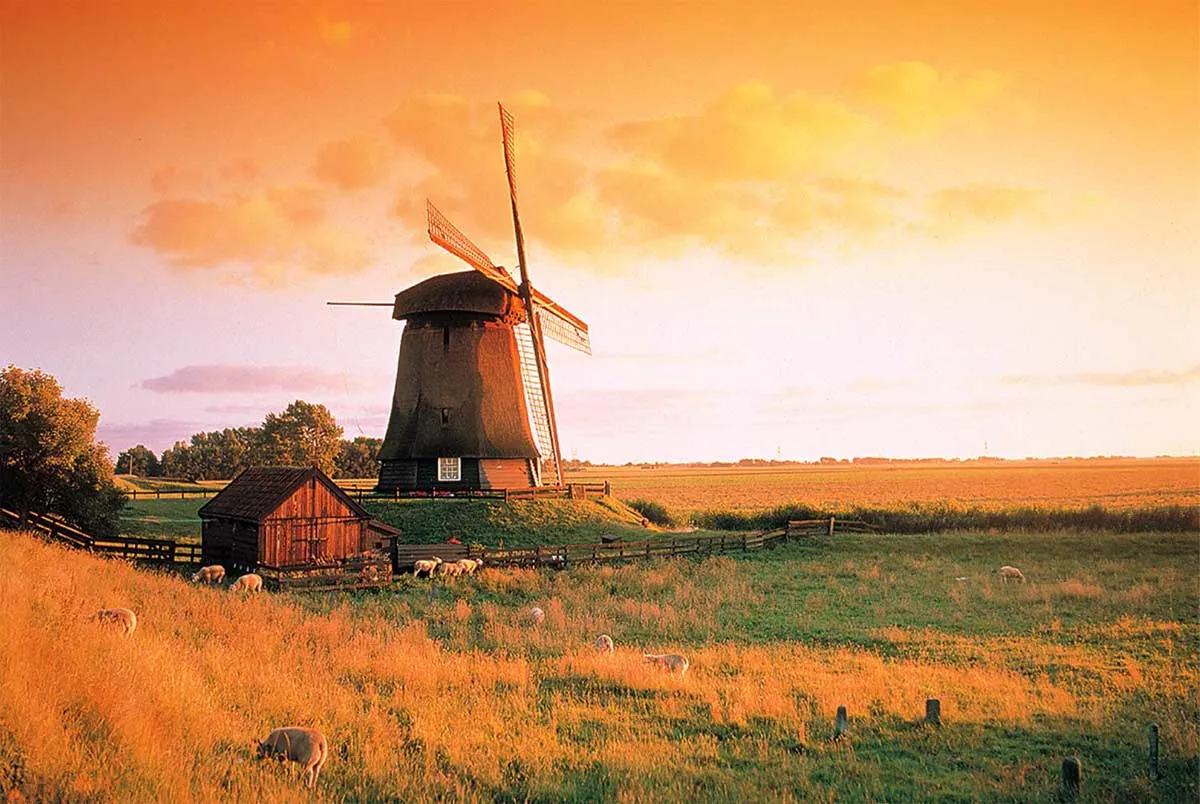Holland Landscape