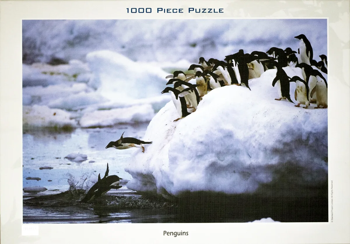 Penguins - Scratch and Dent Birds