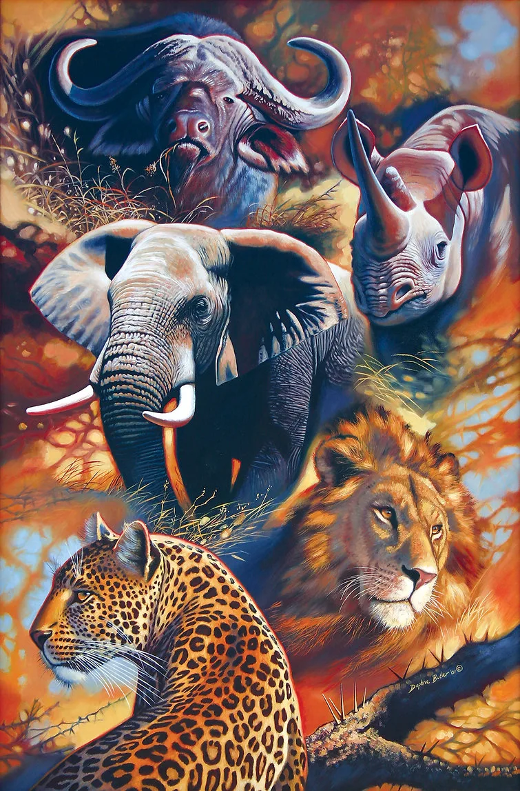 The Big Five Jungle Animals