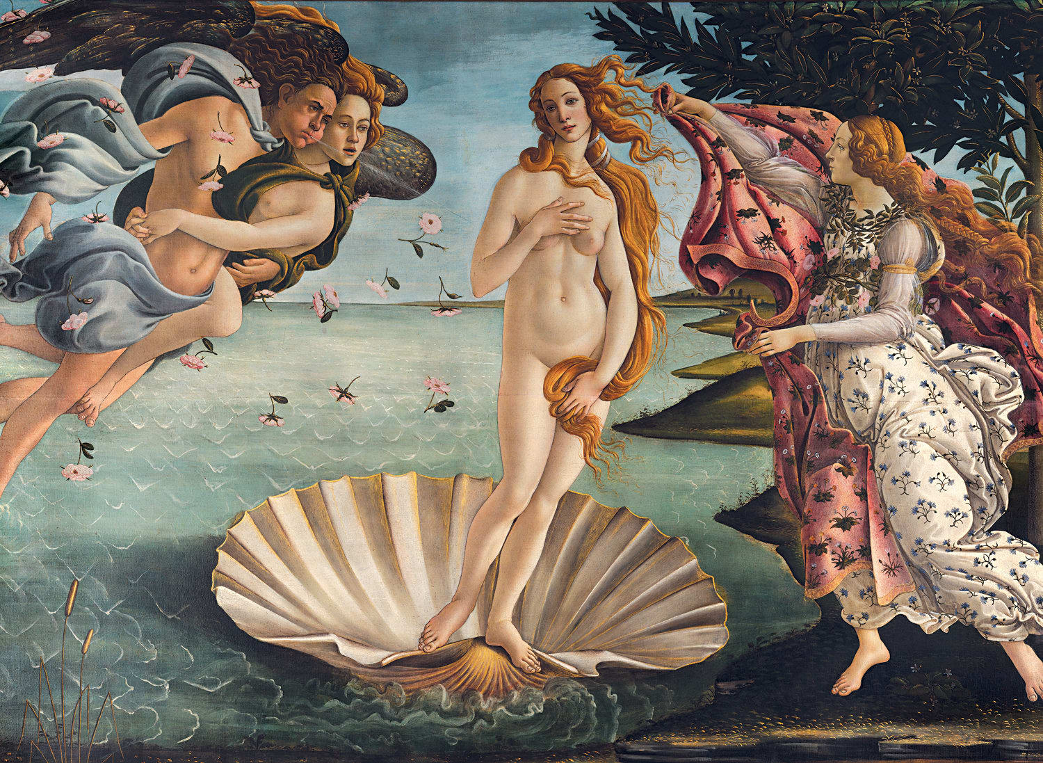 The Birth of Venus Fine Art