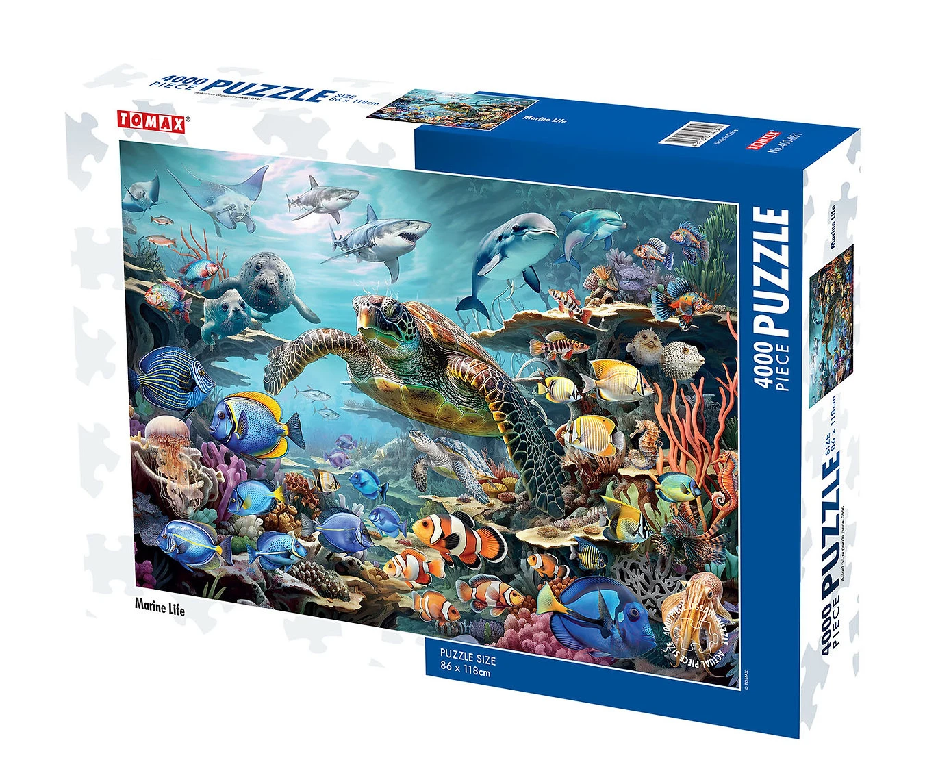 Marine Life  Sea Life