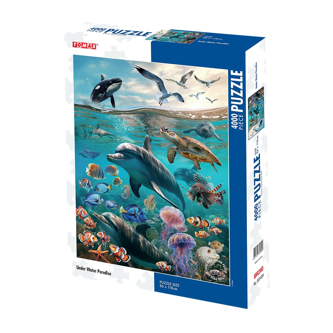 Under Water Paradise Sea Life