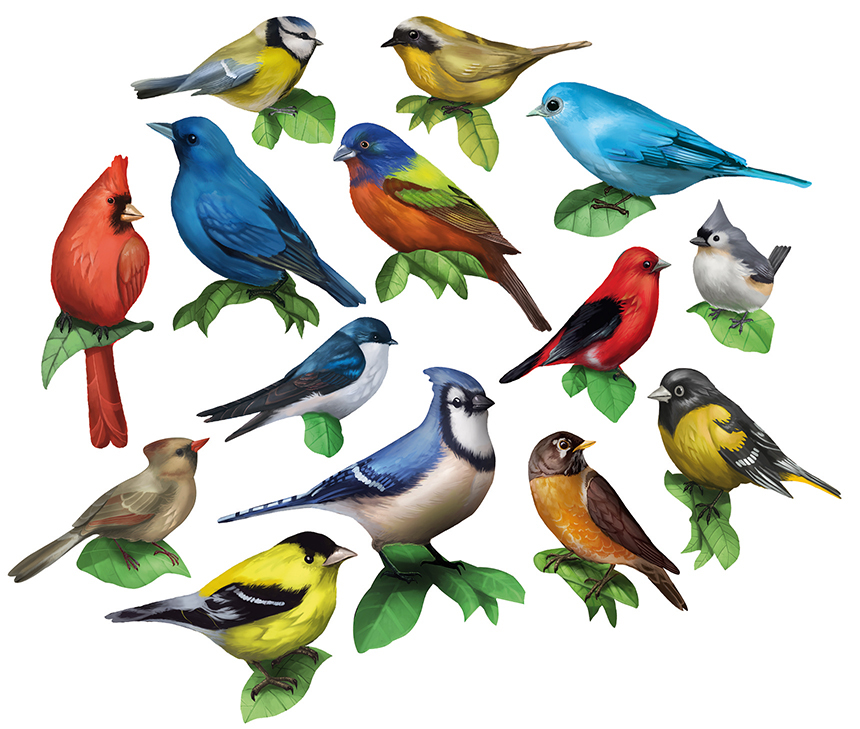 Songbirds Birds Shaped Puzzle