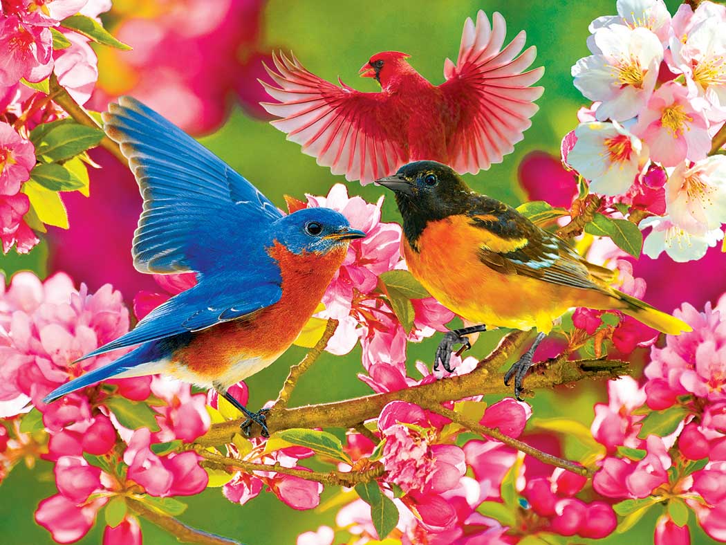 Colorful Songbirds and Cherry Blossoms Birds Jigsaw Puzzle