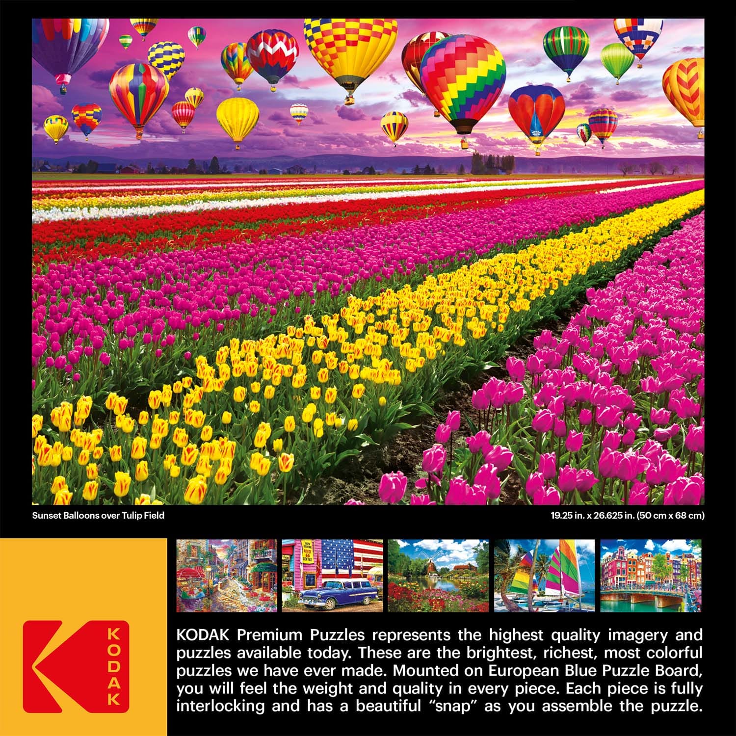 Sunset Balloons Over Tulip Field