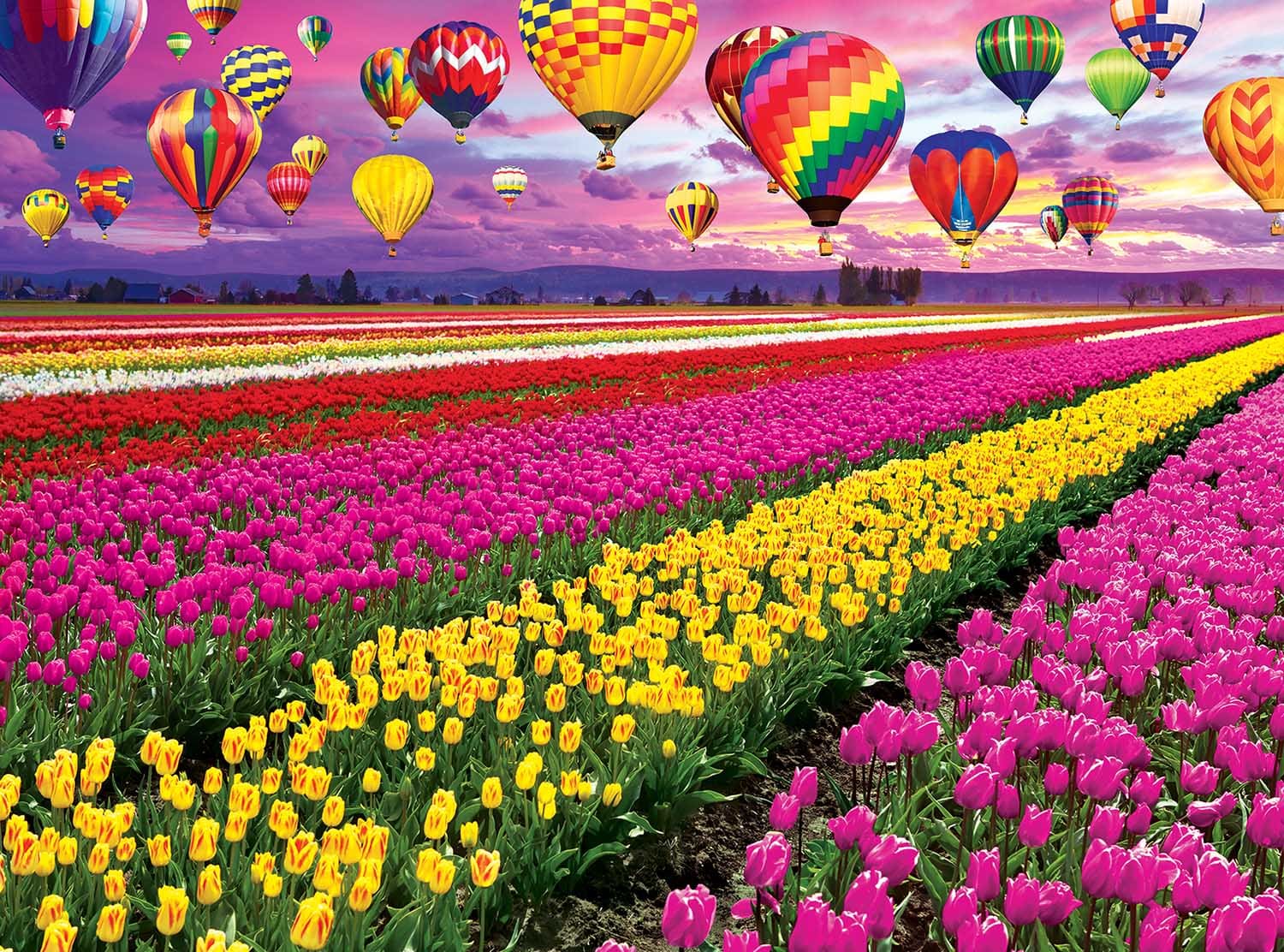 Sunset Balloons Over Tulip Field Flower & Garden