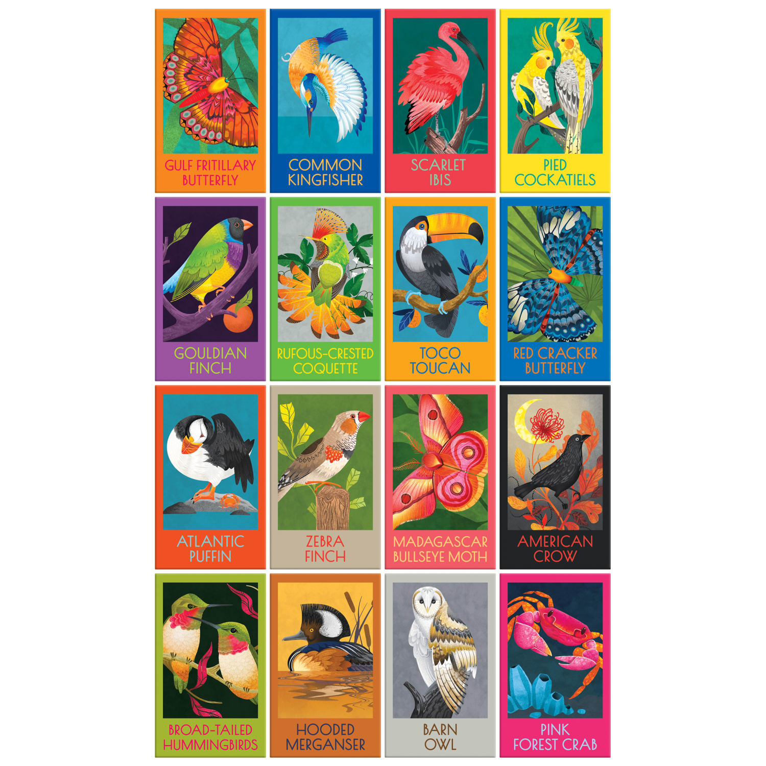 Birds Butterflies & A Crab Box Set 16X100Pc