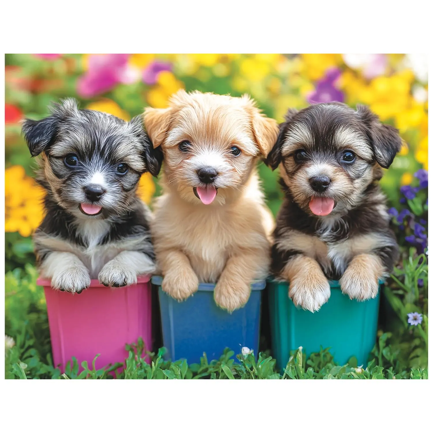 Snack Size - I Love Dogs