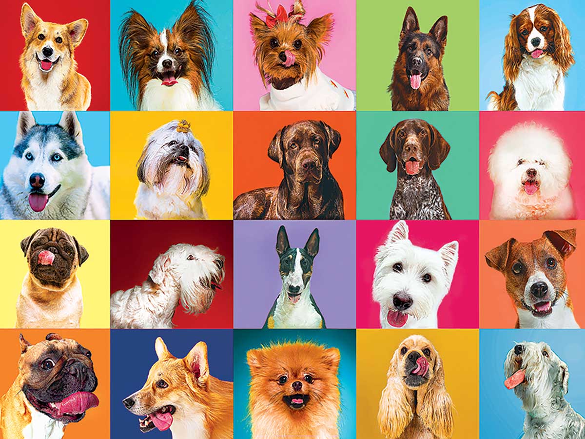 20 Happy Dogs Dogs Jigsaw Puzzle