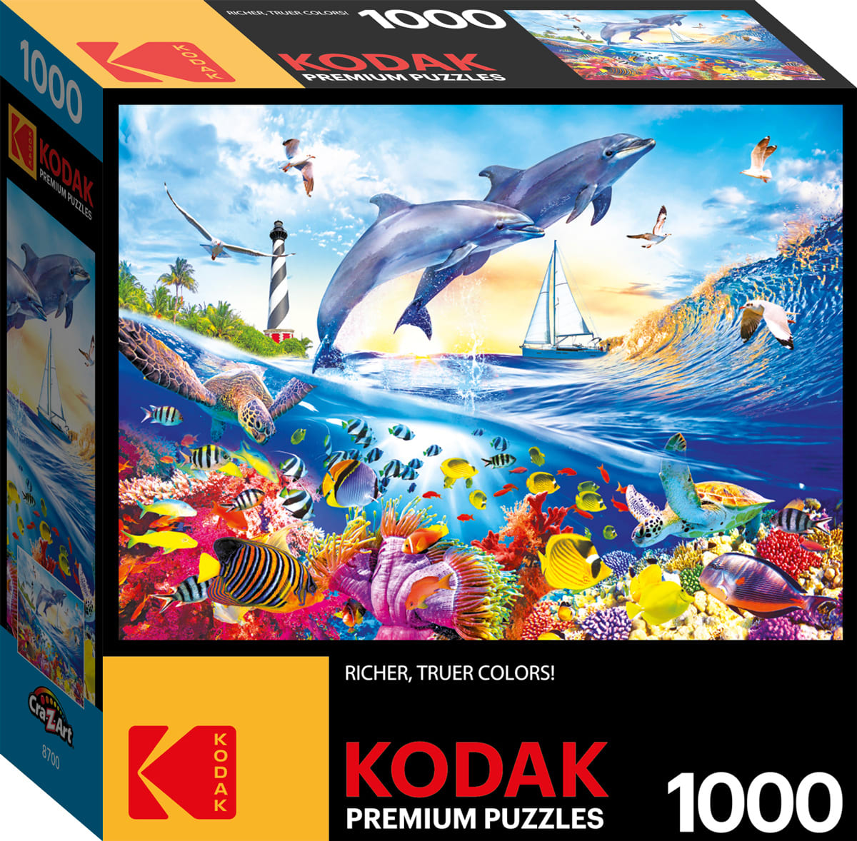 Playful Summer Dolphins