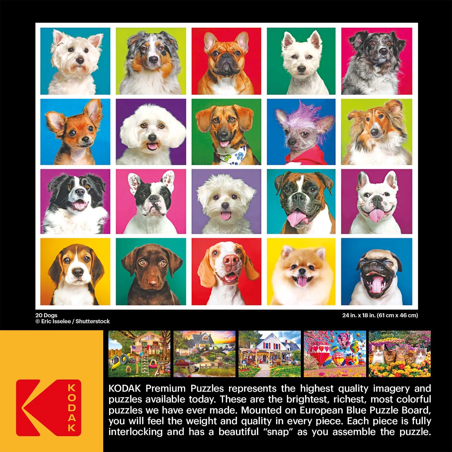 20 Dogs - Scratch and Dent
