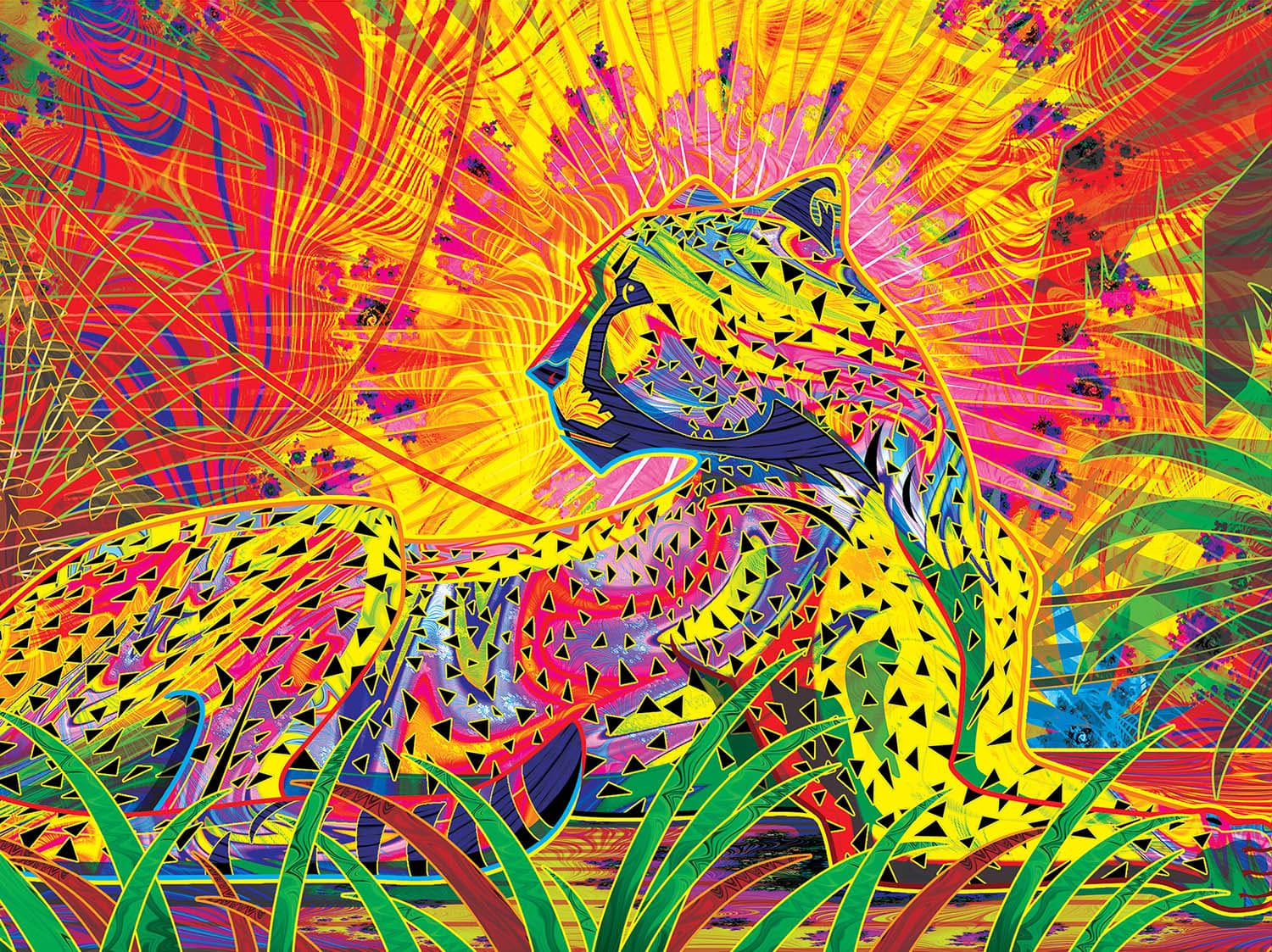 Serengeti Cheetah Jungle Animals