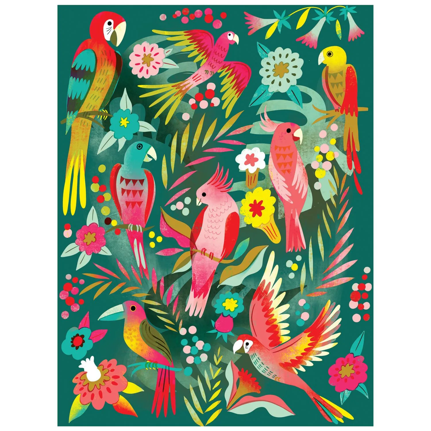 Birds Butterflies And Blooms