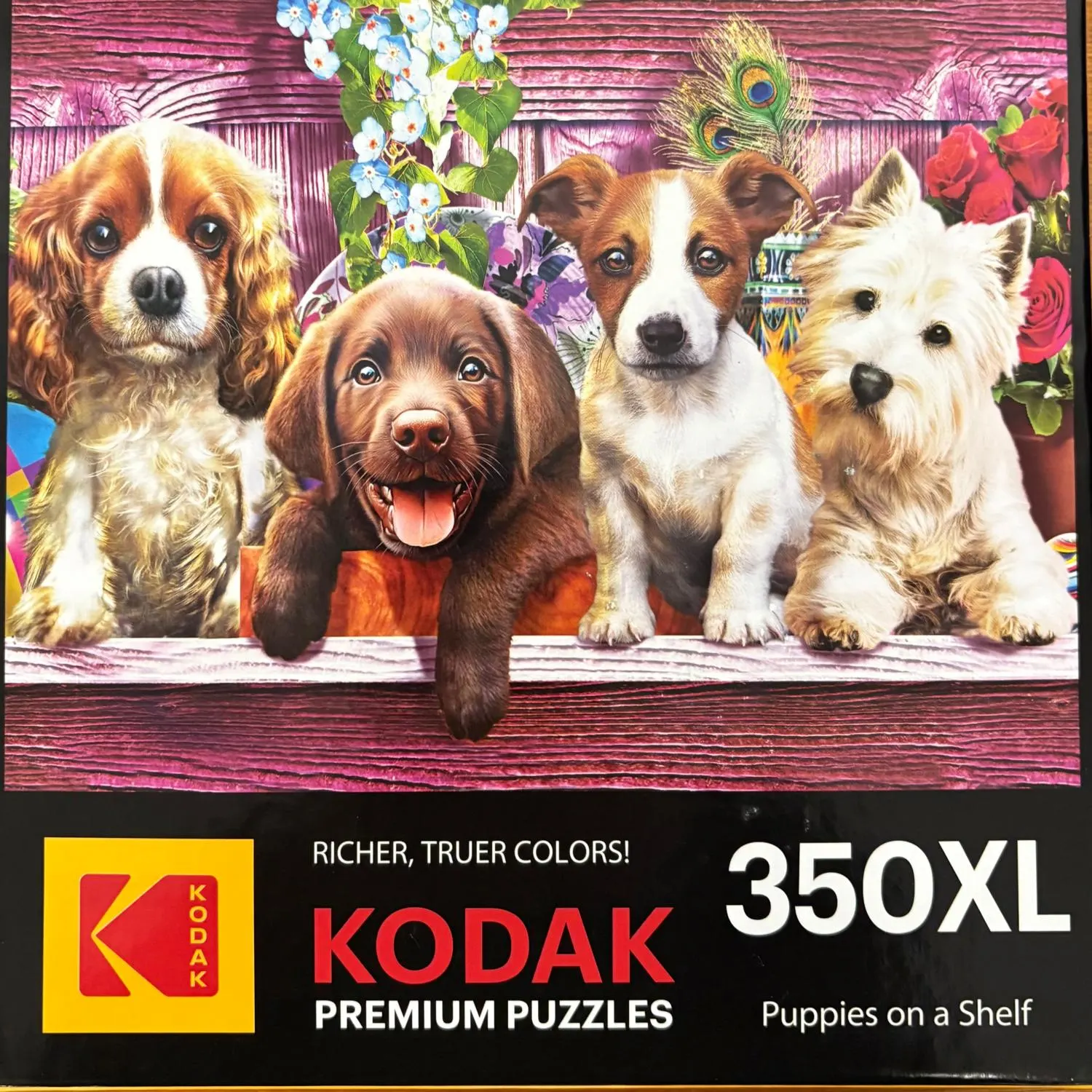 Puppies On A Shelf Dogs