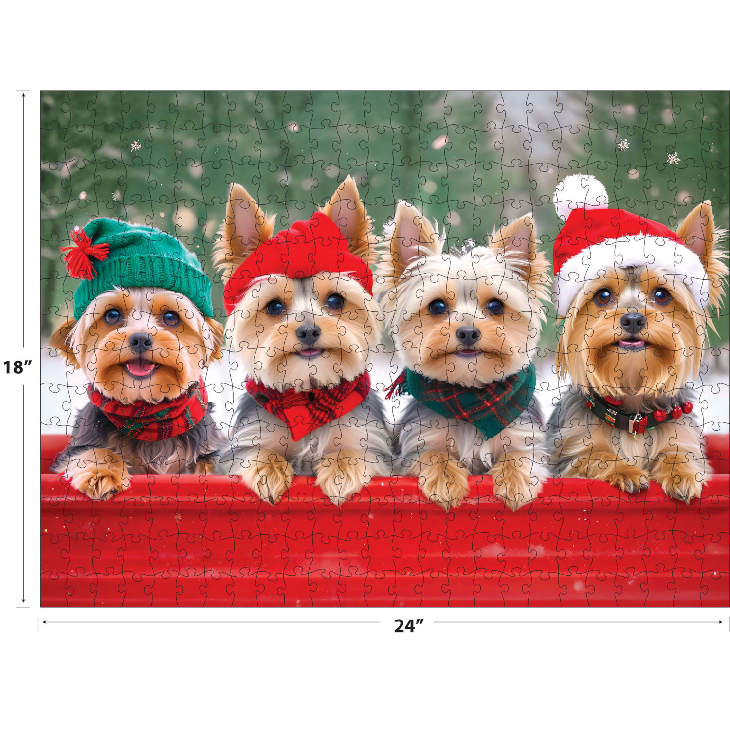 Yorkie Holidays