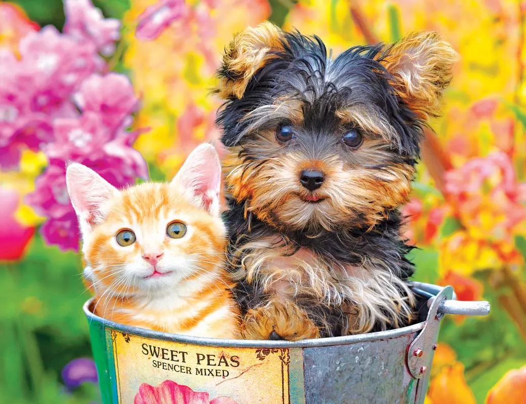 Bucket Buddies Animals