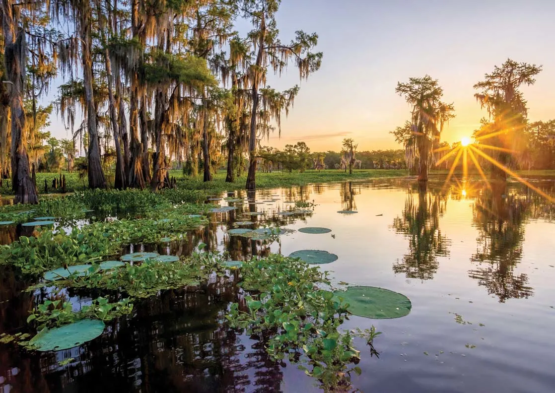 Sunrise Over Duck Lake Photography