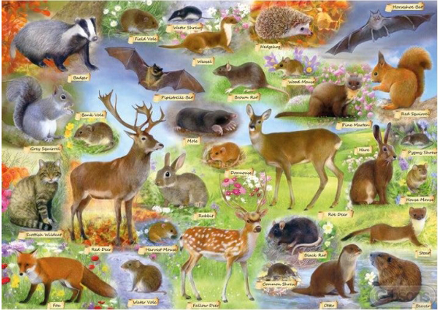 British Wildlife Forest Animal Jigsaw Puzzle