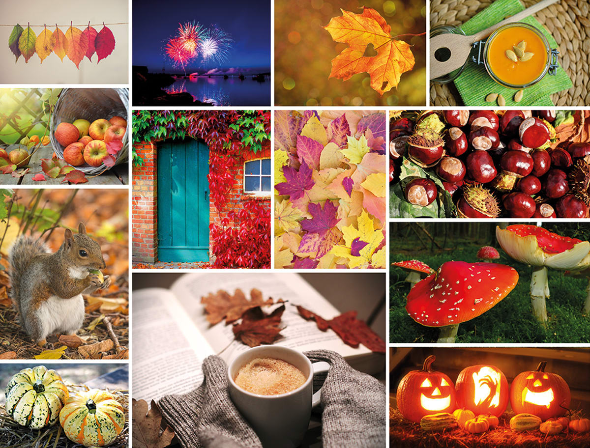 Cosy Autumn Fall