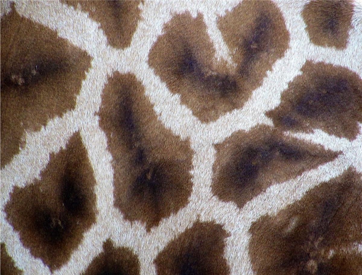 Giraffe - Impuzzible No. 32 Pattern & Geometric