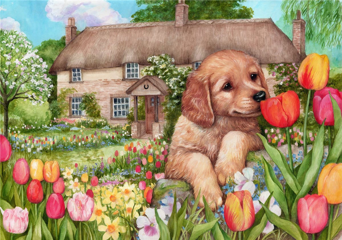 Puppy at Tulip Cottage Dogs
